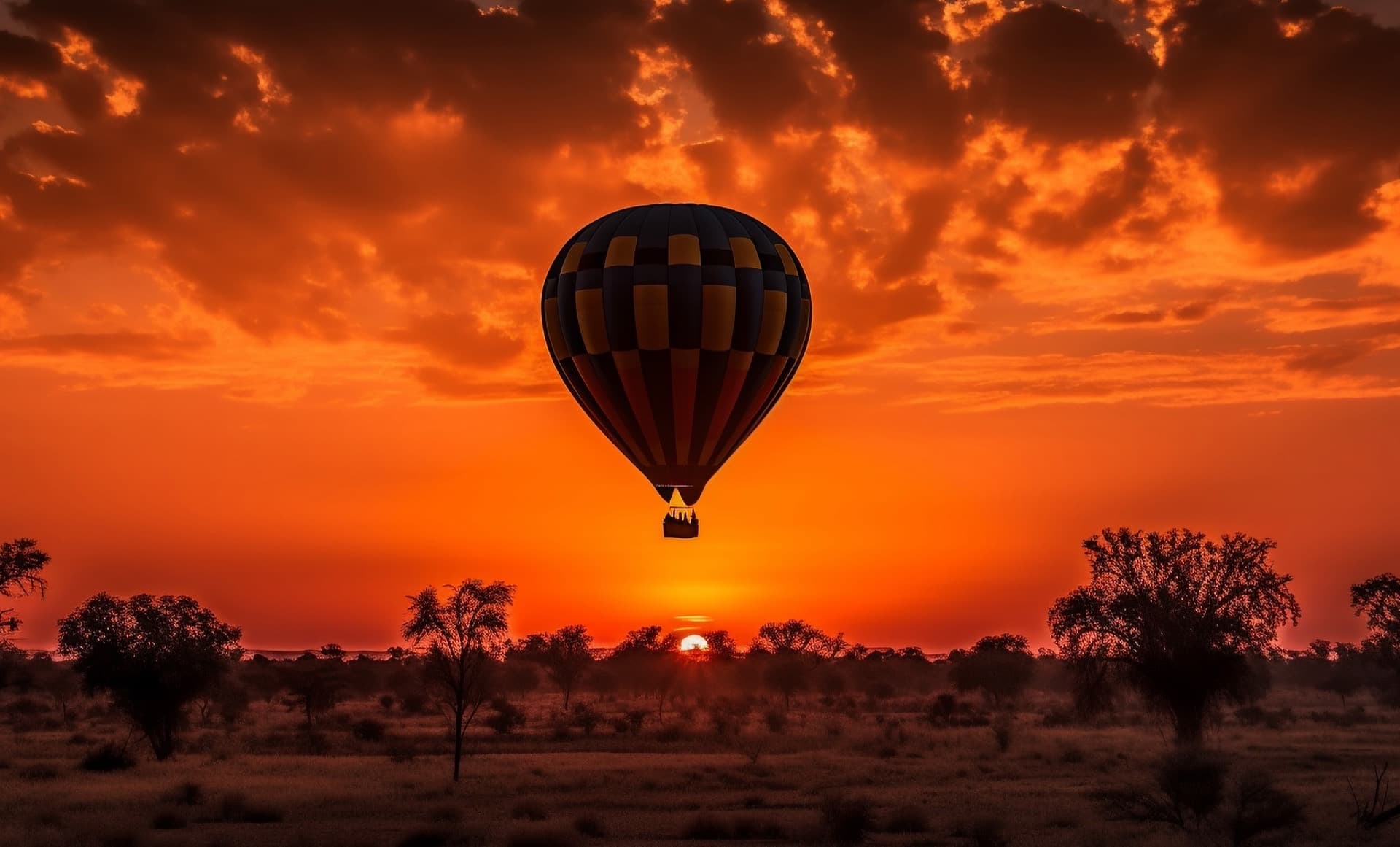 Balloon safari